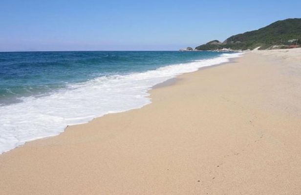 Private Tour: Full-Day Walking Tour with Professional Local Guide in Yakushima Island