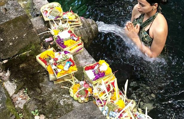 Ubud Temple Tour & Purification and Rice Terrace