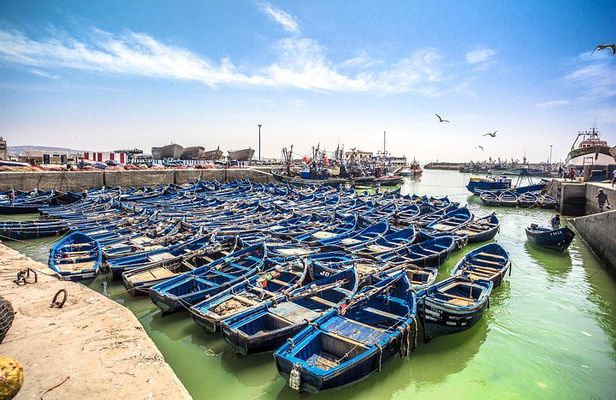 Essaouira Day trip from Agadir