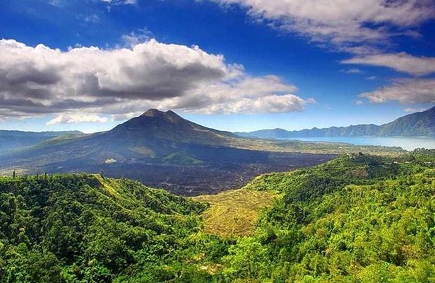 Private Tour - Ubud Kintamani Tours