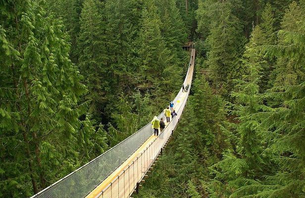 Vancouver and Capilano Park Private Tour