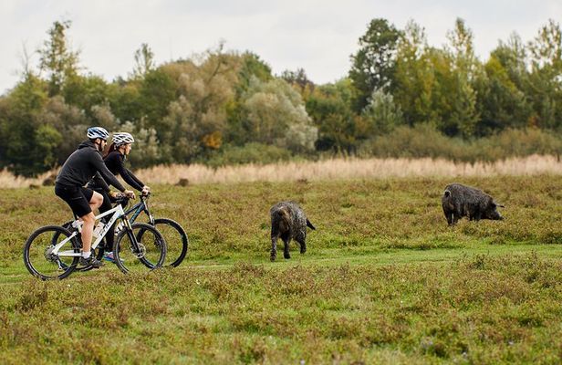 Zasavica Bike Tour