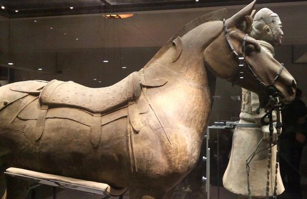 Half-Day Private Tour of Xi'an Terracotta Warriors and Horses Museum