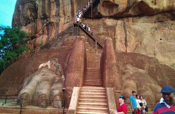 Private day trip Sigiriya, Dambulla with Kaudulla national park safari