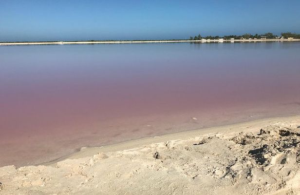 LAS COLORADAS & RIO LAGARTOS from Riviera Maya and Cancun (Private)