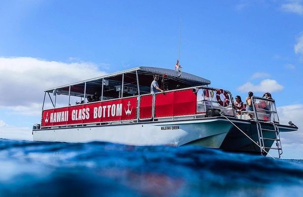 Waikiki Glass Bottom Boat Cruise