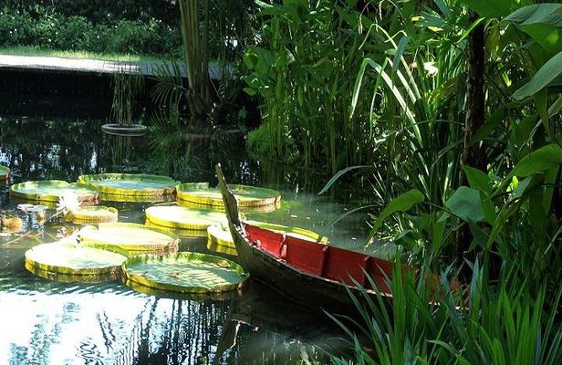 Private Tour: Full Day Round Penang Island Tour