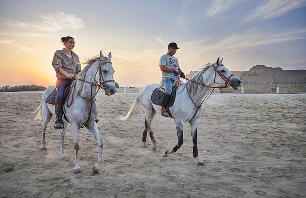 Arabian Sunset Horse Riding & Stable Tour