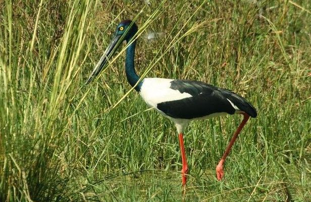Bird Sanctuary, Bharatpur & Taj Mahal, Agra Day Tour from Delhi
