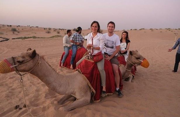 Half Day City Tour of Jaisalmer visit Sunset by Camel Ride with Dinner