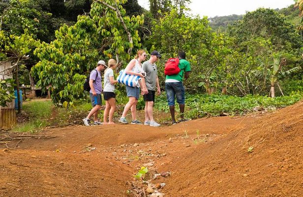 Rainforest Hike