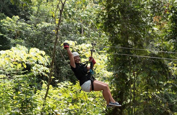 Treetop Adventure Park Canopy Tour