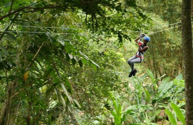 Day of Adventure - Zipline and Hike or Bike