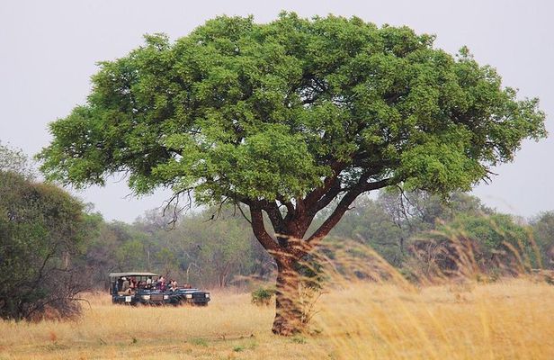 Johannesburg Like a Local: Customized Private Tour
