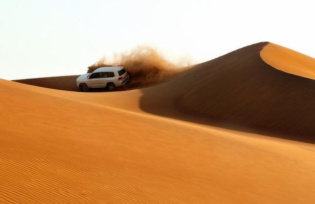 Dubai: Adventure Evening Desert Safari, Camel Ride, Shows & BBQ Dinner