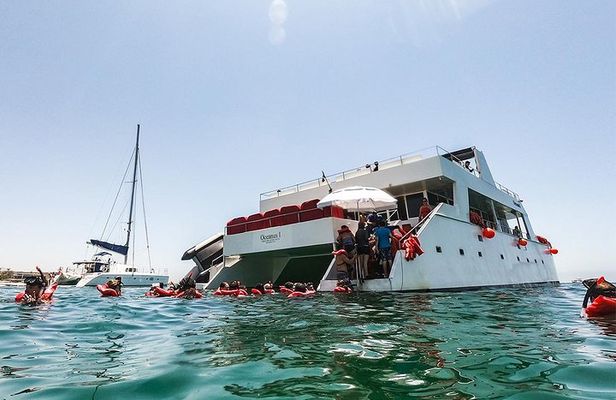 Los Cabos Reef Snorkeling Cruise with Lunch and Open Bar