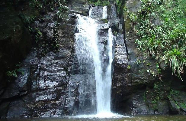 Horto Waterfalls Circuit Adventure Tour in Tijuca National Park