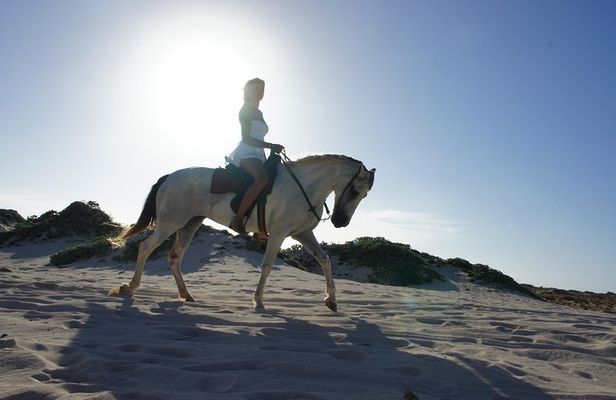 Aruba Horseback Riding Tour For Advanced Riders