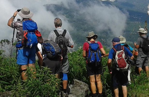 Trekking & Picnic in The Tea Plantation From Ella, Haputale & Bandarawela