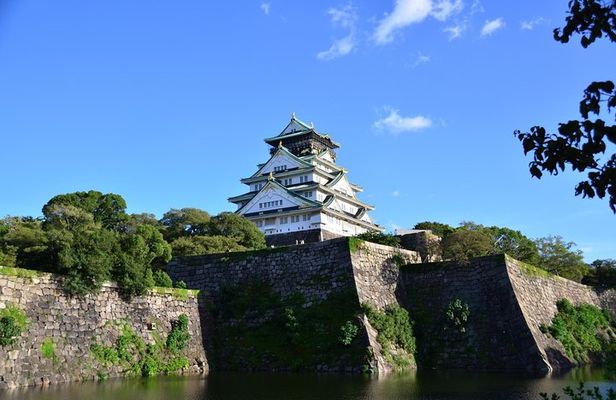 Osaka's Best and Brightest by Private Vehicle