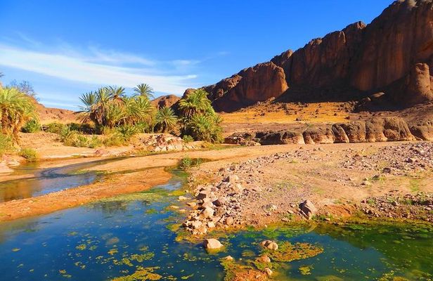 Private Full-Day Tour of Ouarzazate and Oasis Fint