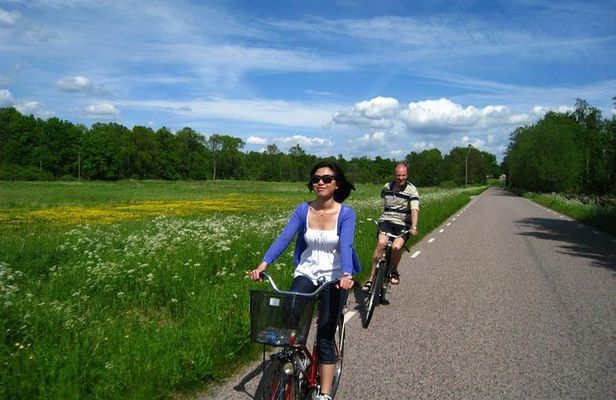 Daytrip Bike Tour on the Swedish Countryside Private