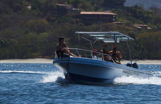 Flamingo Beach Snorkeling Boat Tour
