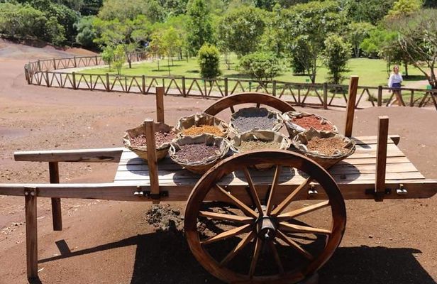 Mauritius South West Tour - Full Day