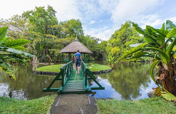 Mauritius North Tour - Full Day Excursion