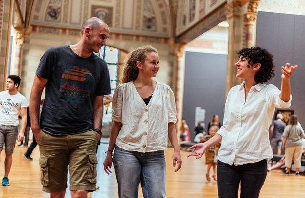 Amsterdam Rijksmuseum PRIVATE TOUR with a Local Private Guide
