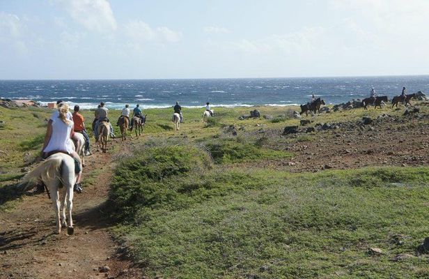 Aruba Horseback Riding Tour to Hidden Lagoon