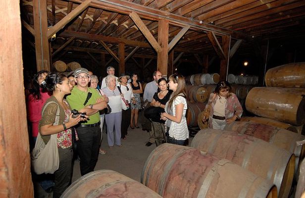 Semi-Private Premium Wine Tour at Santa Rita Winery