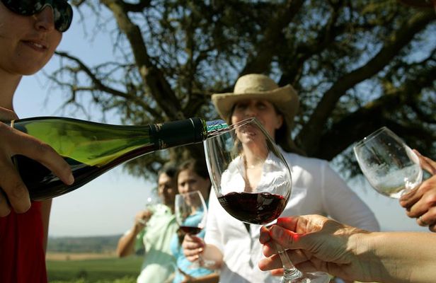 PRIVATE TOUR: Pre or Post Cruise San Antonio Port with Santiago Tour and Winery