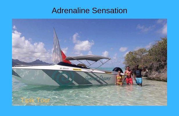 Ile aux Cerfs Day Cruise by Speedboat