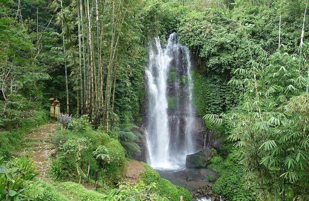 Private Munduk Waterfalls Trekking Tour