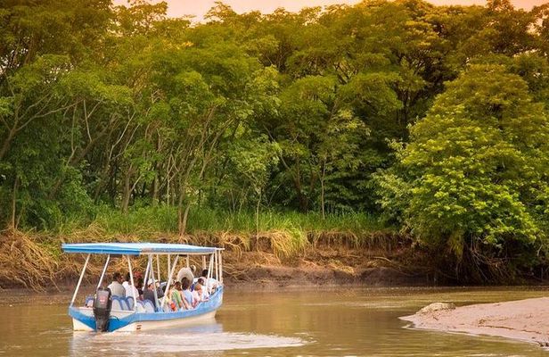 Palo Verde Wildlife Tour from Playa Hermosa-Coco Beach