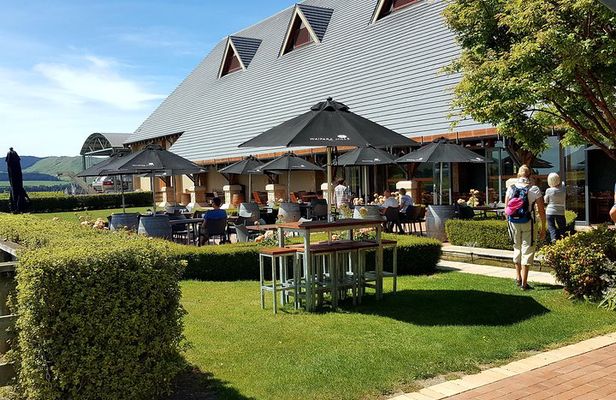 Private Waipara Valley Wine Tasting Tour with optional Gourmet Lunch