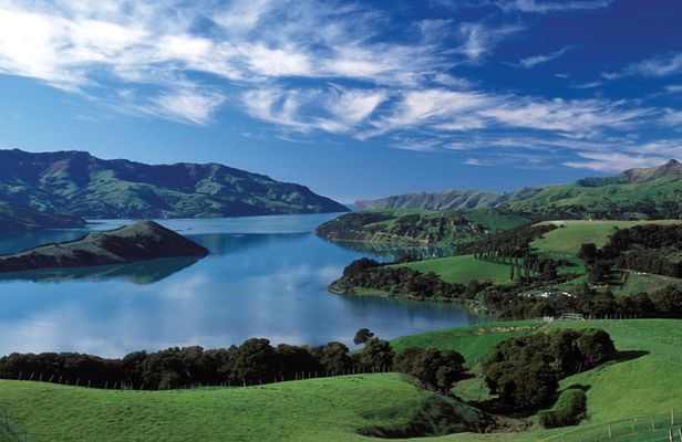 Akaroa Full Day Tour Including Harbor Nature Cruise from Christchurch