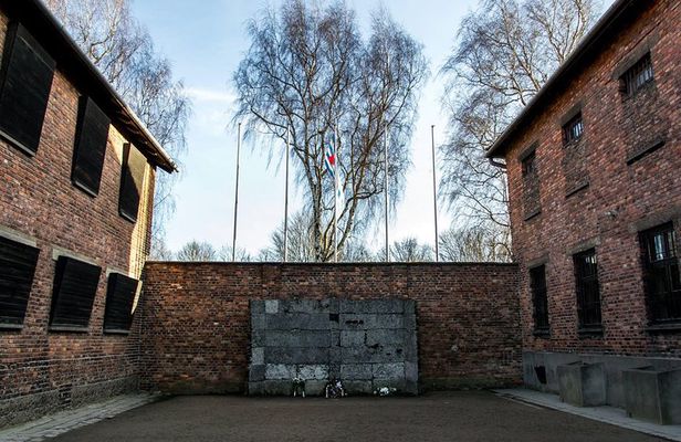Auschwitz Birkenau Guided Tour with Ticket Hotel Pickup Small Van