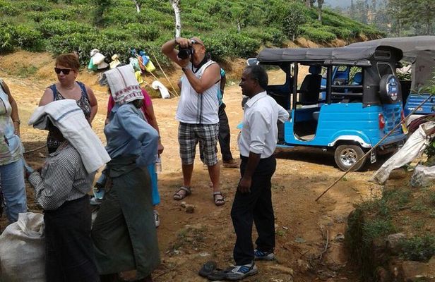 TukTuk Safari in Tea & Spice plantation,View Points,Upper Diyaluma WaterFalls,