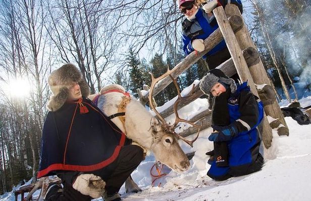 In Pursuit of Reindeer - Snowmobile safari to reindeer farm in Rovaniemi
