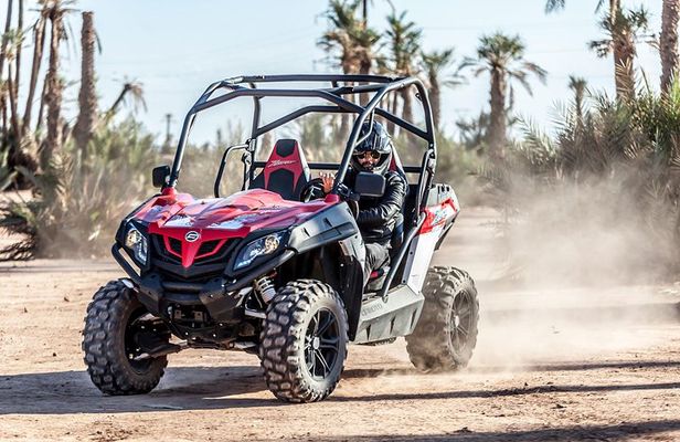 Marrakech: Buggy Tour in the Palmgroves