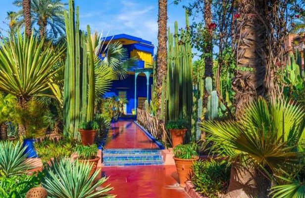 Marrakech: Private Guided Half-Day City Tour