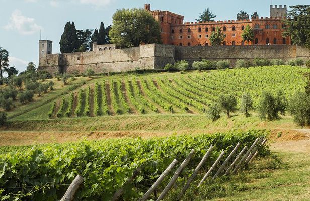 Small-Group Chianti Trip with Wine Tasting from Siena