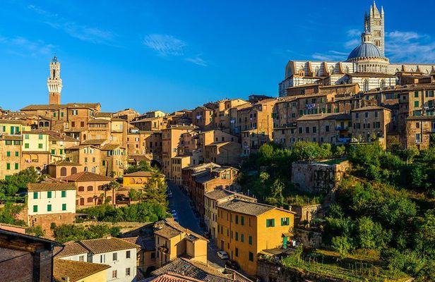 Skip the Line: Siena Duomo and City Walking Tour