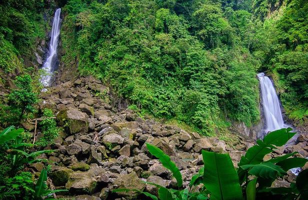 City Tour with Botanical Gardens, Trafalgar Falls & Morne Bruce 