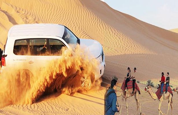Evening Desert Safari Dubai with BBQ Dinner (Pick Up By Bus)