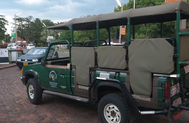 Full Day Zambezi National Park Golden Safari
