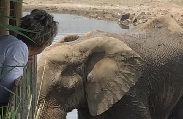 Pilanesberg National Park Safari in Open Vehicle from Johannesburg