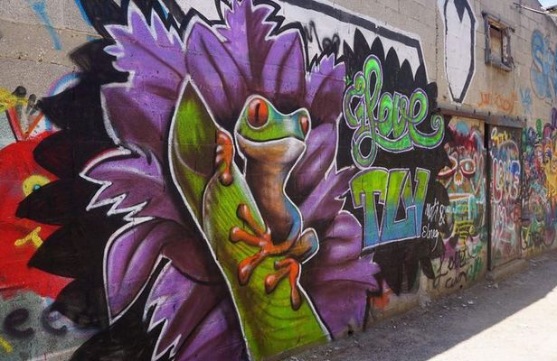 Tel Aviv Street Art & Graffiti Tour